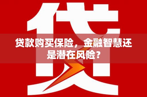 望牛墩贷款购买保险，金融智慧还是潜在风险？