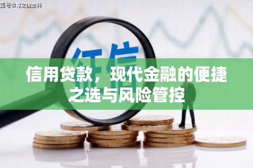 兴宾信用贷款，现代金融的便捷之选与风险管控