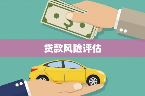 安乐贷款风险评估