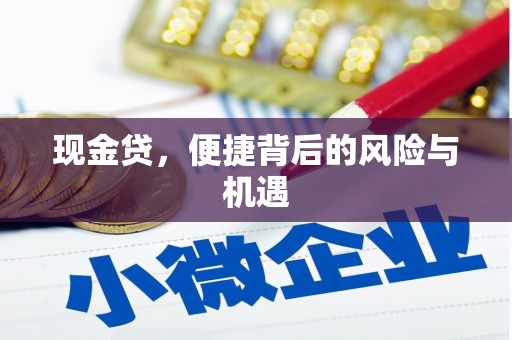 田林现金贷，便捷背后的风险与机遇