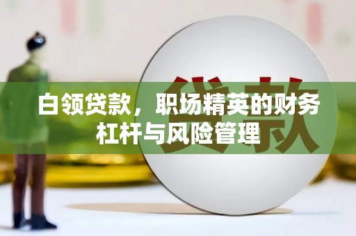 莱山白领贷款，职场精英的财务杠杆与风险管理