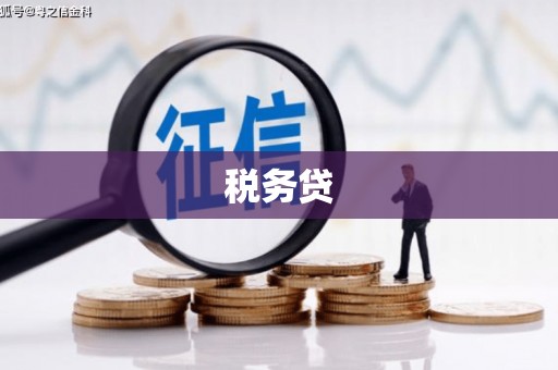 扶绥税务贷