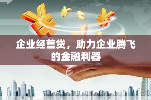 宁明企业经营贷，助力企业腾飞的金融利器