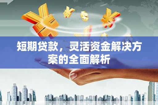 阳高短期贷款，灵活资金解决方案的全面解析