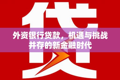 绥滨外资银行贷款，机遇与挑战并存的新金融时代