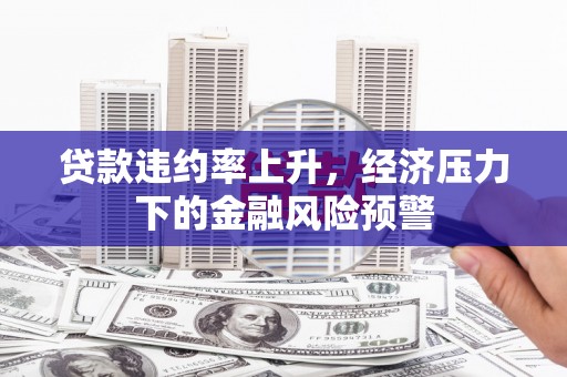 宁晋贷款违约率上升，经济压力下的金融风险预警
