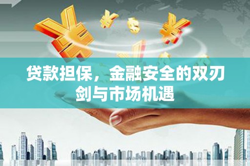 洪雅贷款担保，金融安全的双刃剑与市场机遇