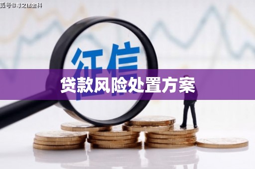 东乌旗贷款风险处置方案