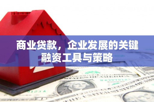 安陆商业贷款，企业发展的关键融资工具与策略