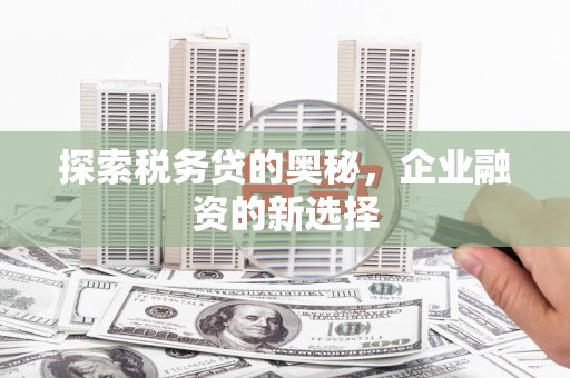 海原探索税务贷的奥秘，企业融资的新选择
