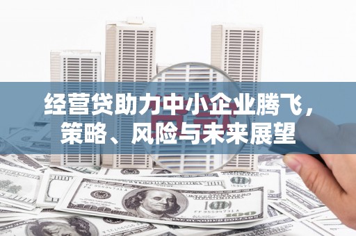 麻山经营贷助力中小企业腾飞，策略、风险与未来展望