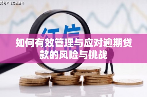 凤台如何有效管理与应对逾期贷款的风险与挑战