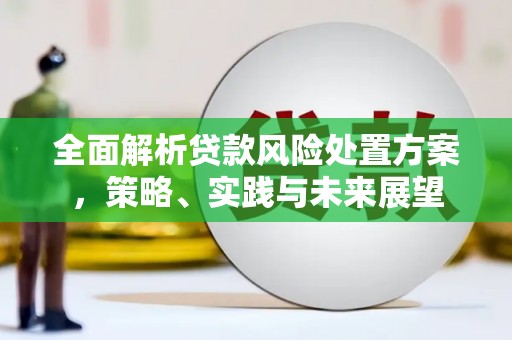 额济纳旗全面解析贷款风险处置方案，策略、实践与未来展望