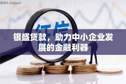 盐源银盛贷款，助力中小企业发展的金融利器