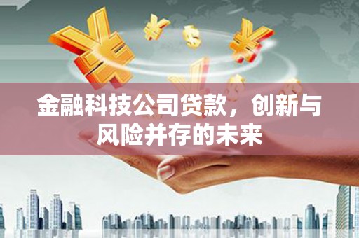 商南金融科技公司贷款，创新与风险并存的未来