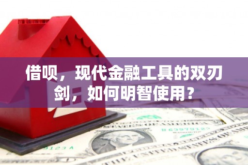 新园借呗，现代金融工具的双刃剑，如何明智使用？