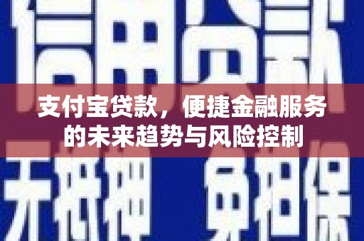 圣安多尼堂区支付宝贷款，便捷金融服务的未来趋势与风险控制
