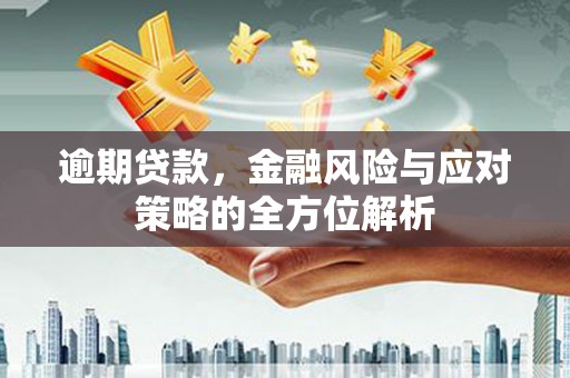 西吉逾期贷款，金融风险与应对策略的全方位解析