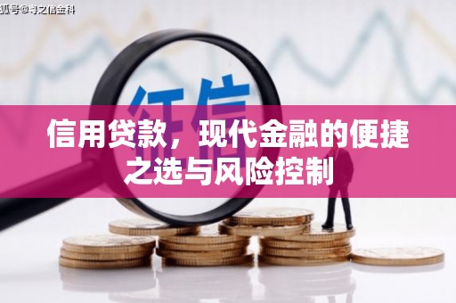 汾西信用贷款，现代金融的便捷之选与风险控制