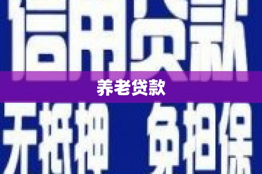 金阳养老贷款