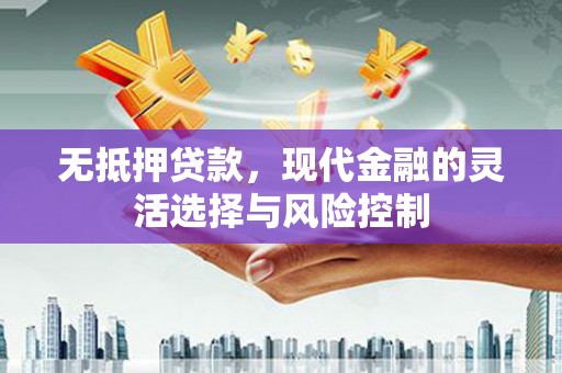 金昌无抵押贷款，现代金融的灵活选择与风险控制