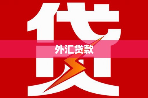 盘山外汇贷款