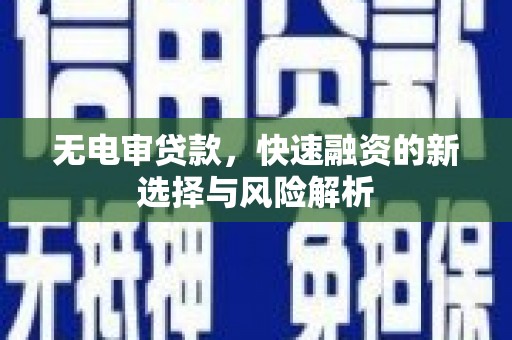 乳源无电审贷款，快速融资的新选择与风险解析