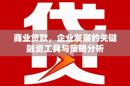 顺城商业贷款，企业发展的关键融资工具与策略分析
