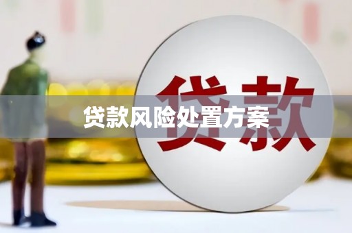 伊犁贷款风险处置方案