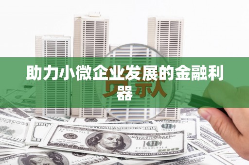 宁陵助力小微企业发展的金融利器