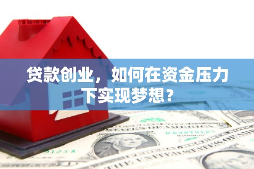 金峰贷款创业，如何在资金压力下实现梦想？