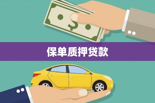 贺兰保单质押贷款