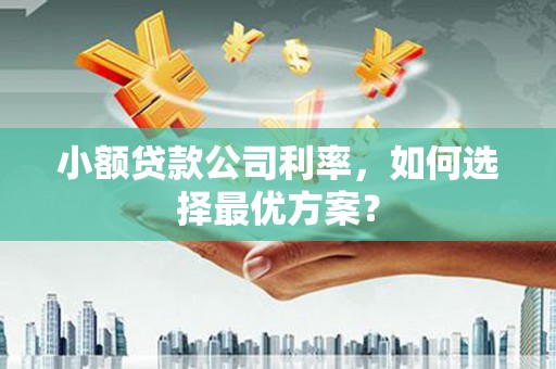 天宁小额贷款公司利率，如何选择最优方案？