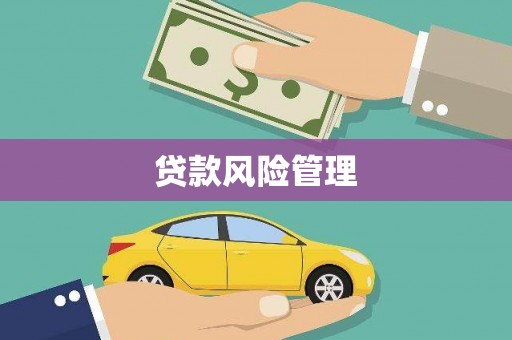 昭苏贷款风险管理