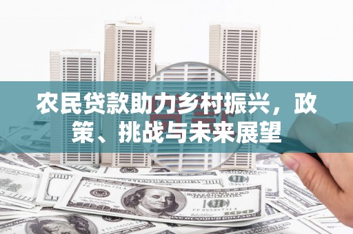 雨山农民贷款助力乡村振兴，政策、挑战与未来展望