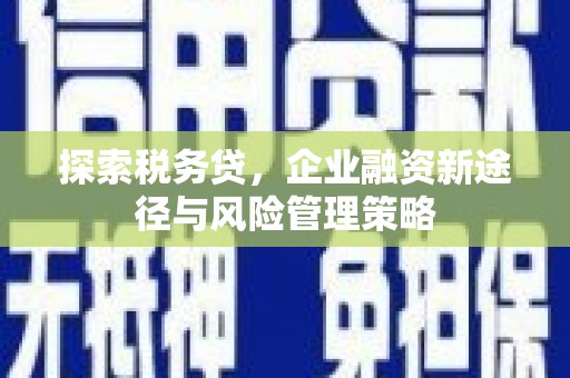 闵行探索税务贷，企业融资新途径与风险管理策略