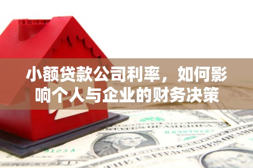 崇明小额贷款公司利率，如何影响个人与企业的财务决策