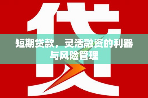 图木舒克短期贷款，灵活融资的利器与风险管理