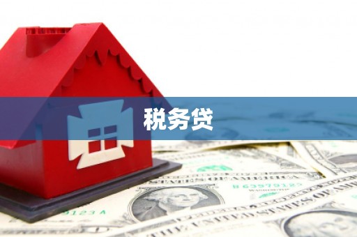 积石山税务贷