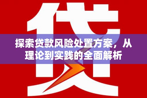 西林探索贷款风险处置方案，从理论到实践的全面解析