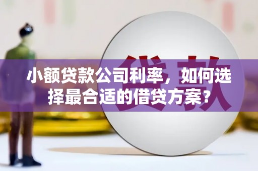 大村小额贷款公司利率，如何选择最合适的借贷方案？
