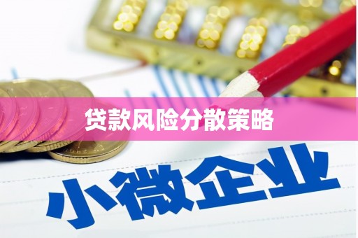 望奎贷款风险分散策略