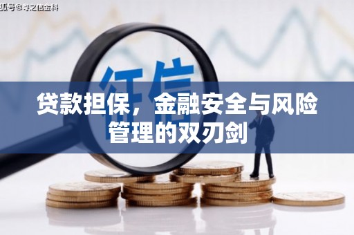 岱山贷款担保，金融安全与风险管理的双刃剑