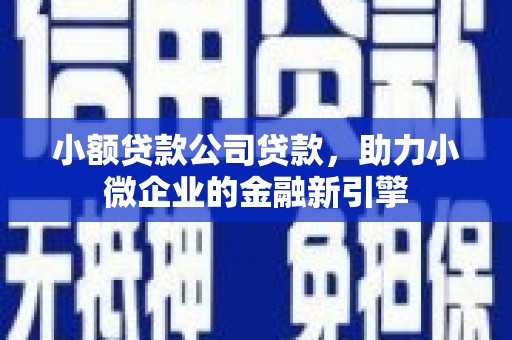 后里小额贷款公司贷款，助力小微企业的金融新引擎