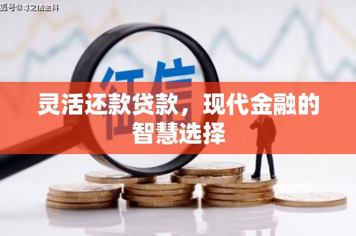 呼图壁灵活还款贷款，现代金融的智慧选择