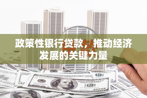 公馆政策性银行贷款，推动经济发展的关键力量