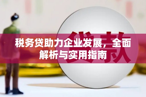 黔西税务贷助力企业发展，全面解析与实用指南