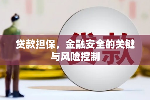 昌都贷款担保，金融安全的关键与风险控制