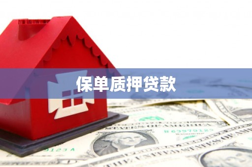 湖州保单质押贷款