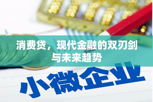 中牟消费贷，现代金融的双刃剑与未来趋势
